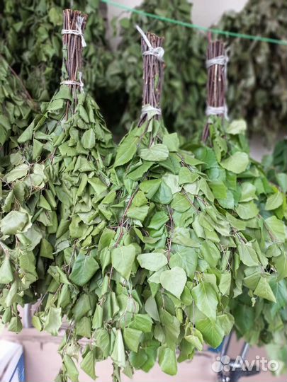 Дубовые и березовые веники для бани