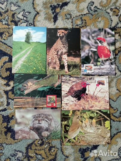 Различные открытки