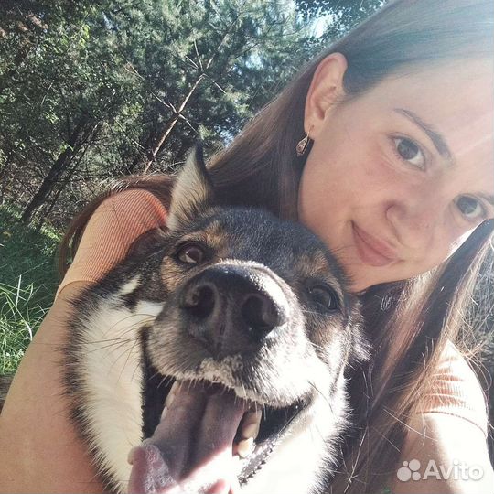 Услуги кинолога