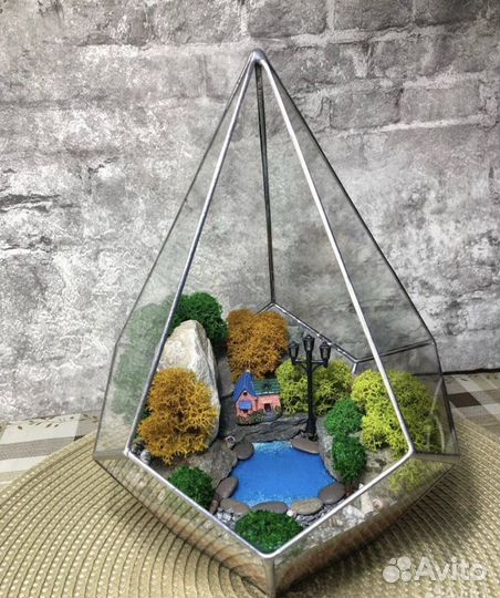 Флорариум суккуленты