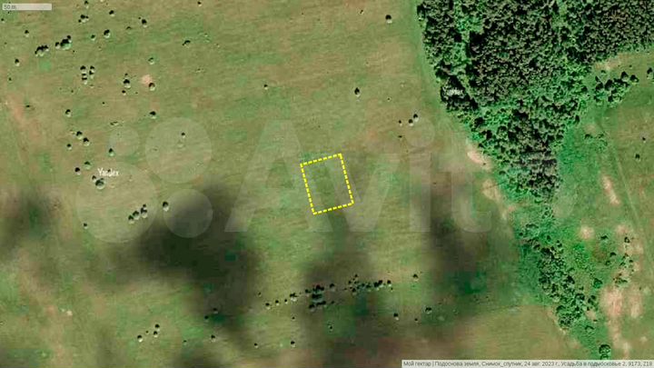 Участок 20 сот. (СНТ, ДНП)