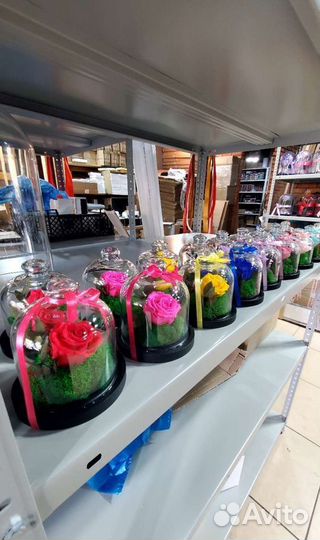 Роза в колбе