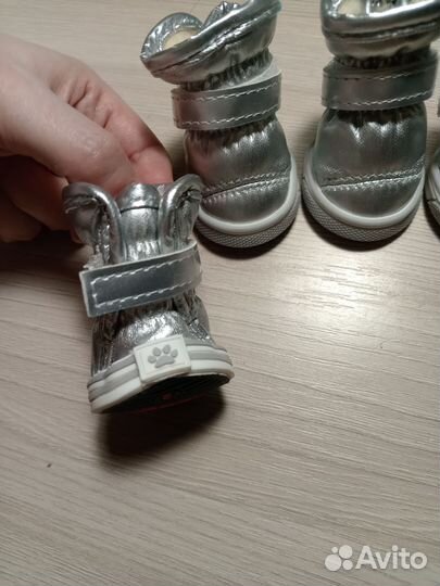 Сапоги зимние для собачки