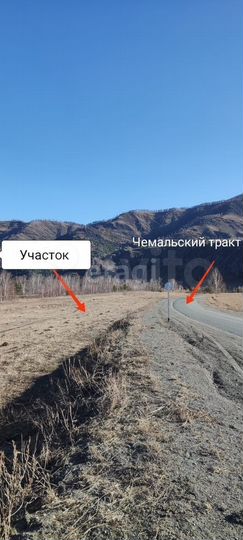 Участок 20 сот. (СНТ, ДНП)