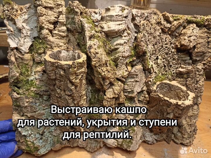 Фон в террариум, орхидариум, пробковая кора