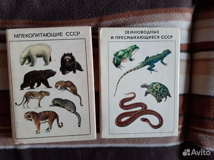 Жизнь животных энциклопедия СССР