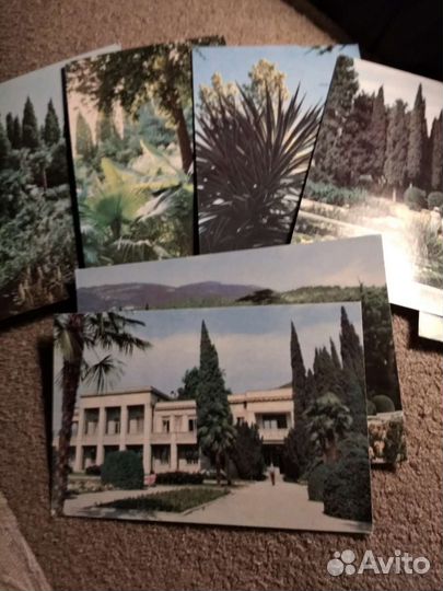Набор открыток УССР, Никитский ботанический сад