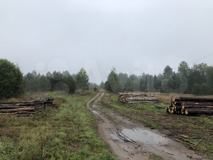 Участок 5 га (ИЖС)