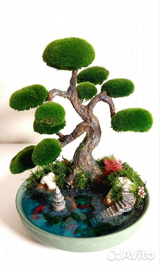 Дерево бонсай с водоёмом и карпами кои