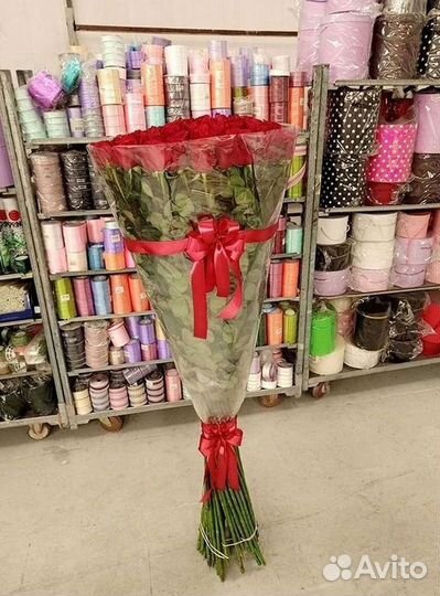 Розы Эквадор Метровые 100 см доставка Москва