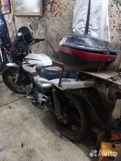 Мото xinling cxm125b cobra