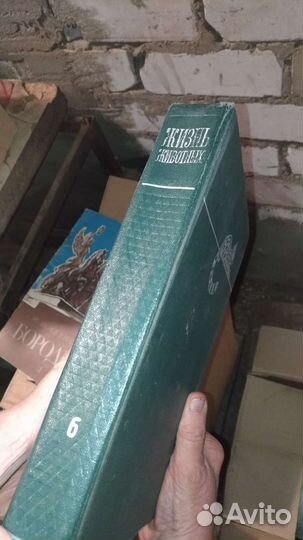 Жизнь животных, том 6