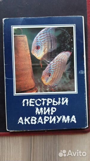 Рыбки аквариумные - набор открыток 25шт