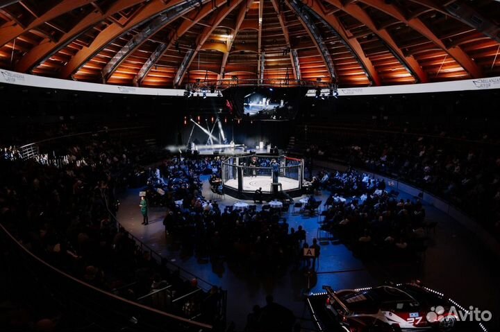 Международная лига смешанных единоборств (MMA)