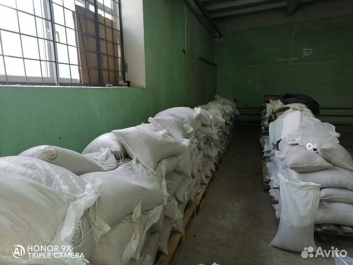 Ракушка морская кормовая