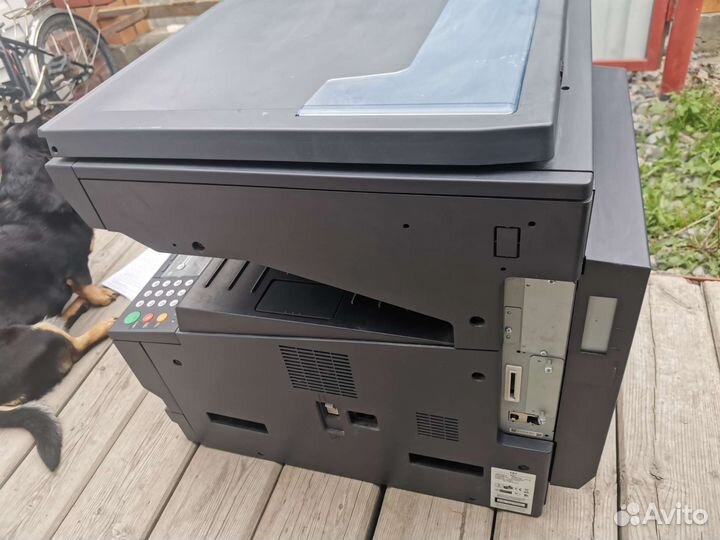 Kyocera Taskalfa 181