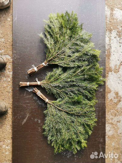 Банные веники