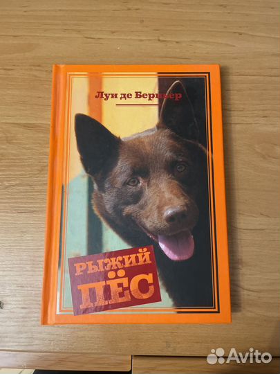 Луи де Берньер 