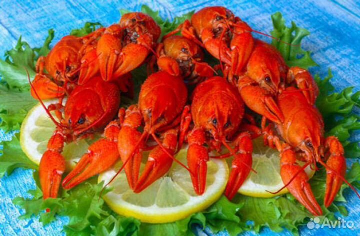 Живые и варёные раки