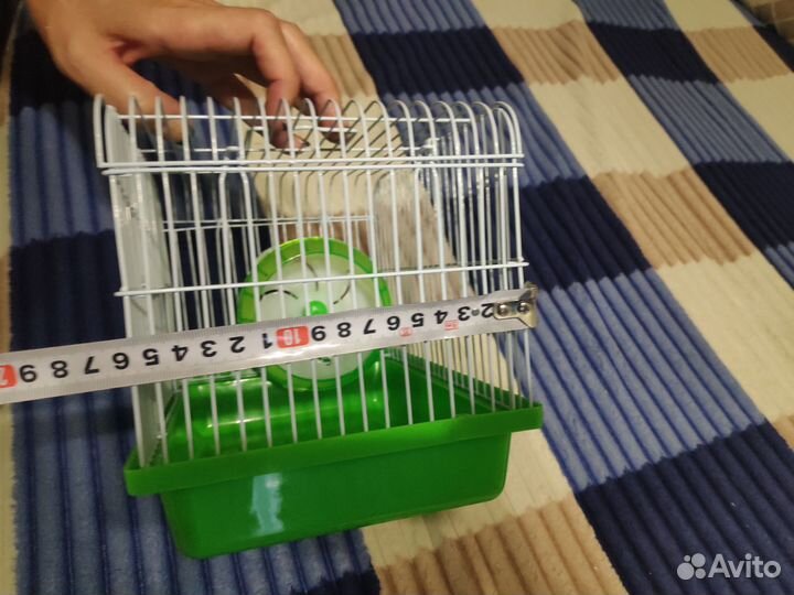 Клетка для джунгарского хомяка