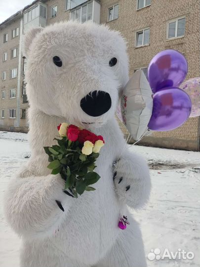 Супер поздравление от Пломбира