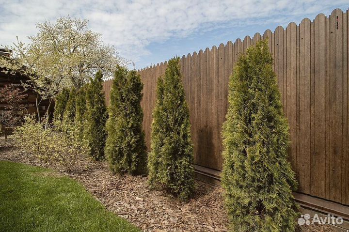 Забор из профнастила от производителя