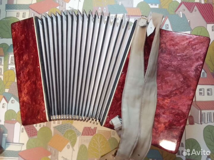 Аккордеон юность 2 рег с ремнями