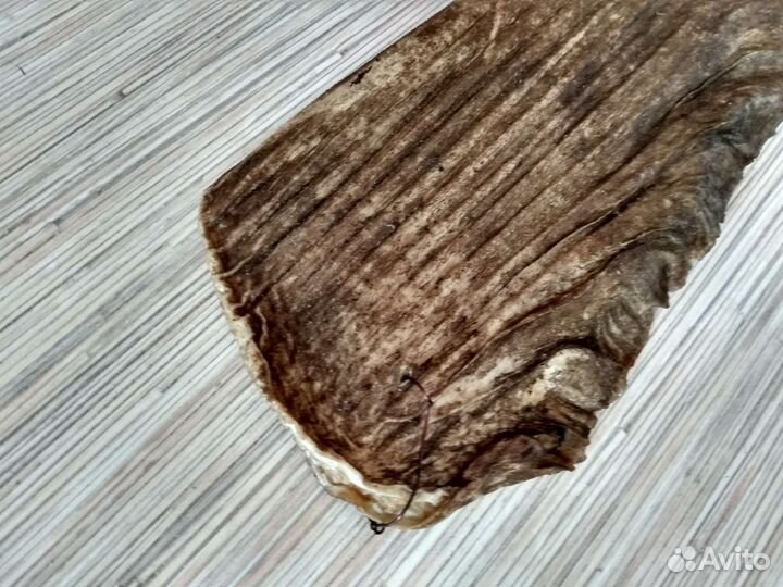 Плавник акулы