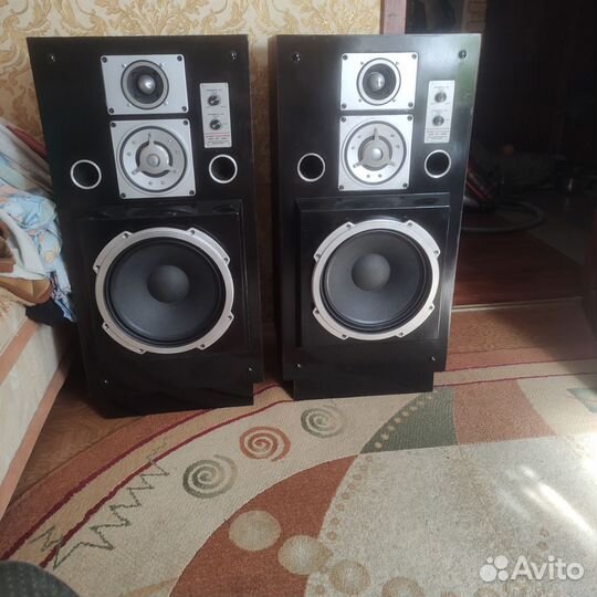 Колонки электроника 100 ас-063