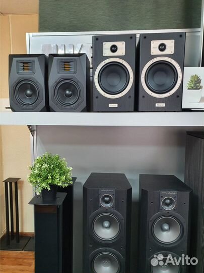 Сабвуфер Wharfedale WH-D10 Blackwood