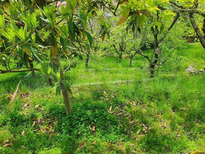 Участок 4,6 сот. (ИЖС)