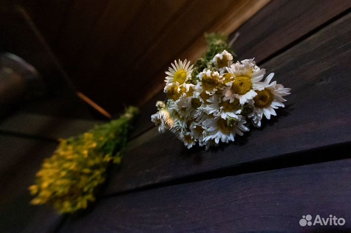 Баня на дровах с купелью 