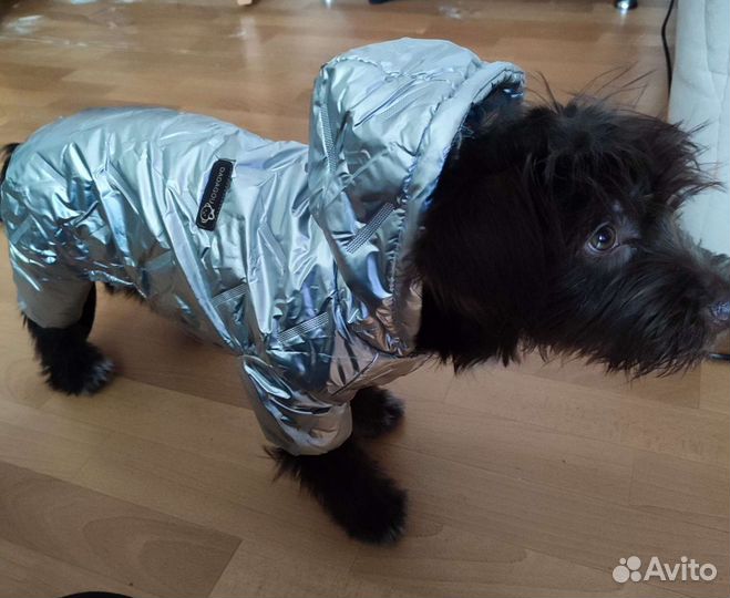 Зимний комбинезон для собаки