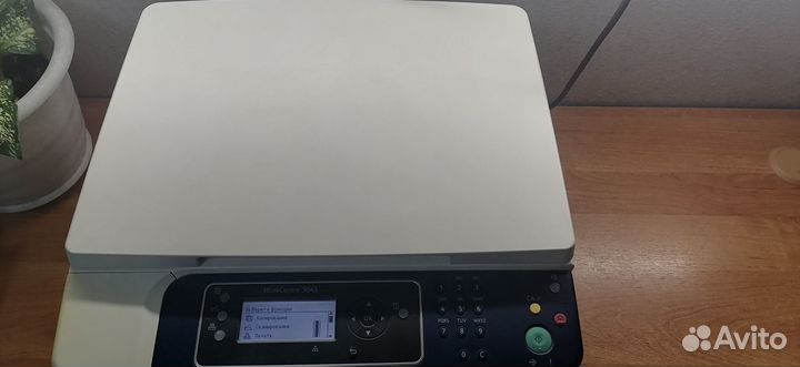 Принтер xerox WorkCentre 3045
