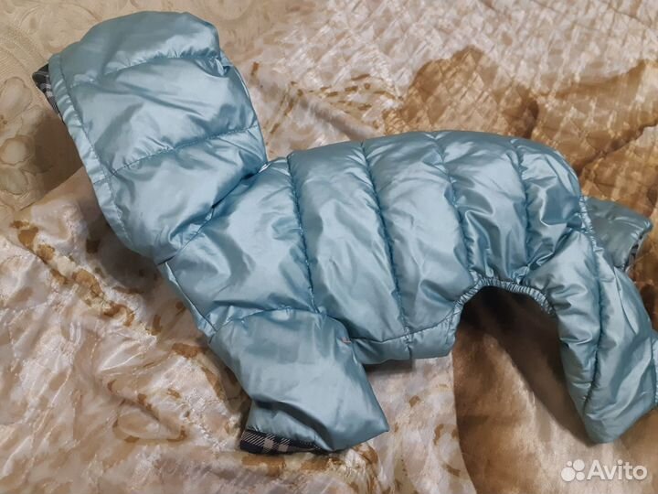 Комбинезон для собаки