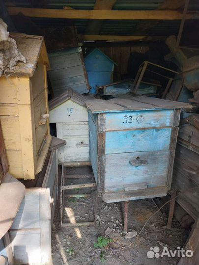 Продам ульи для пчел