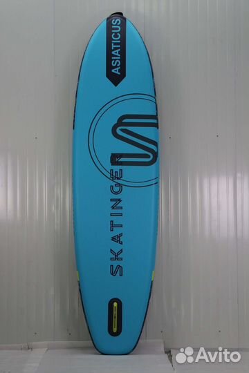 Большой сап Skatinger asiaticus 11'6 89см