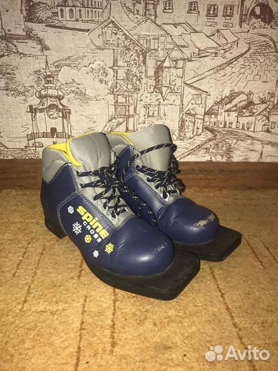Лыжные ботинки