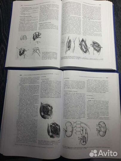 Топографическая анатомия и оперативная хирургия