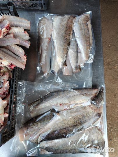 Филе судака ладожского на коже премиум охл и с/м