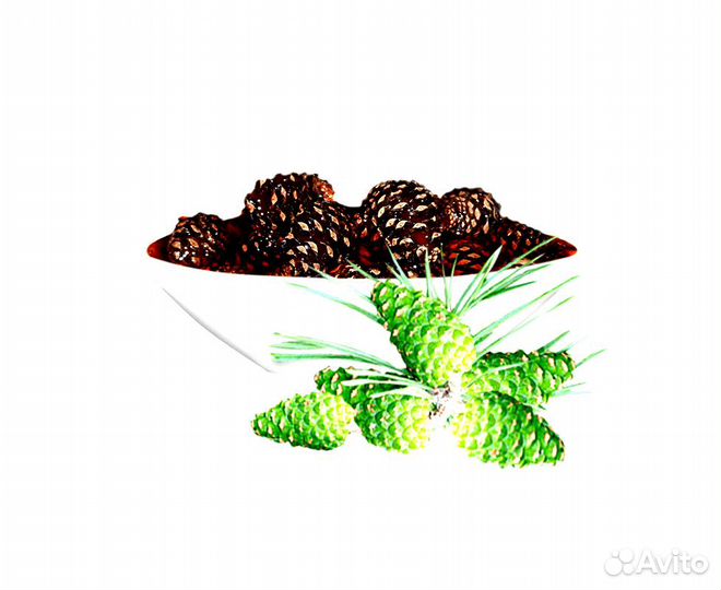 Варенье из сосновых шишечек премиум весовое