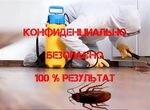 Уничтожение тараканов клопов грызунов дезинфекция
