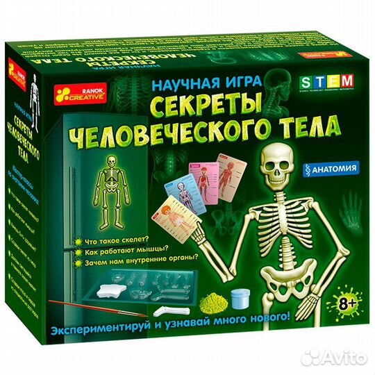 Набор для экспериментов Анатомия Скелет человека