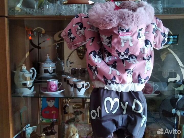 Зимний комбинезон For My Dogs для собаки