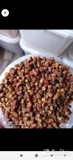 Перга,пыльца,прополис