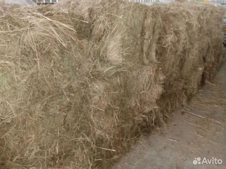 Сено Солома Тюки Доставка Сено на Корм