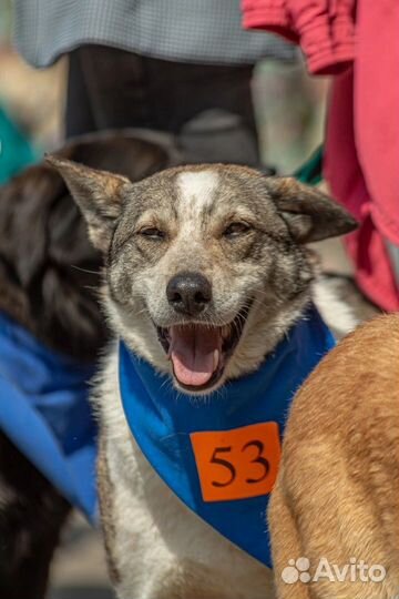 Тельма в поисках дома