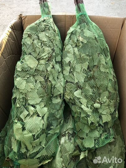 Веник березовый