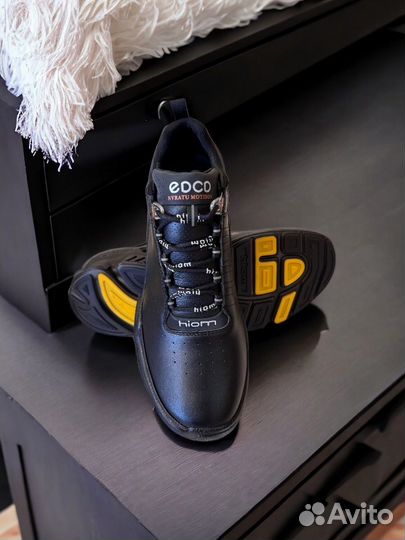 Кроссовки edco