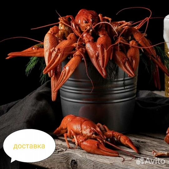 Раки живые и вареные